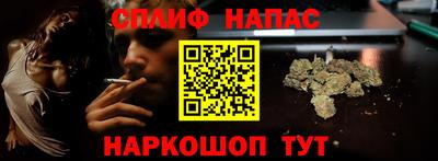 гидра Краснознаменск