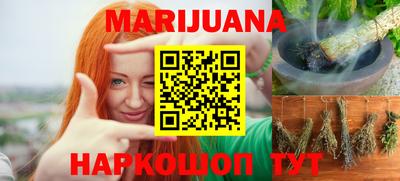 гидра Краснознаменск
