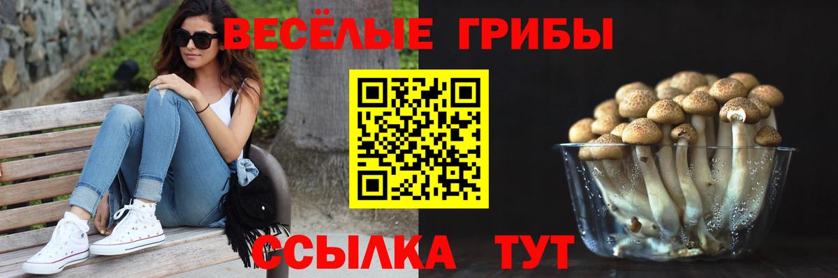 Галлюциногенные грибы прущие грибы Ипатово
